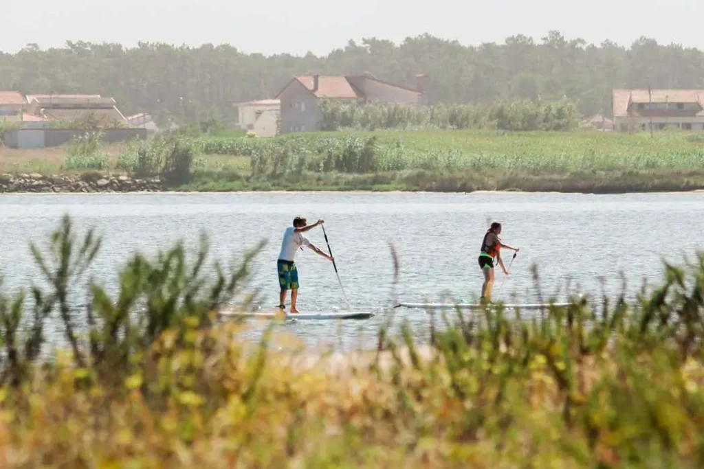 Stand up paddling on the Agueda river with lush greenery on both sides of river.