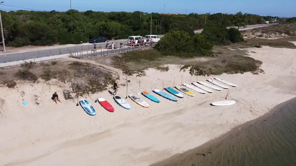 Drone shot of paddleboards laid out across the beach with oars next to them.