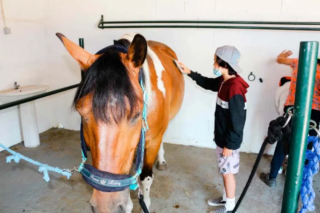Surf Clinic guiding kids on how to brush a horse.